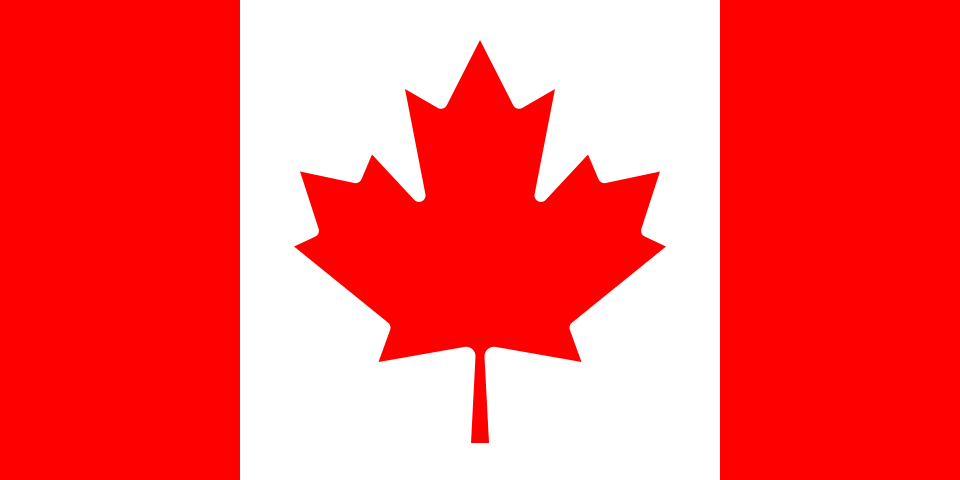 Joel flag image